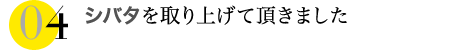 シバタを取り上げて頂きました